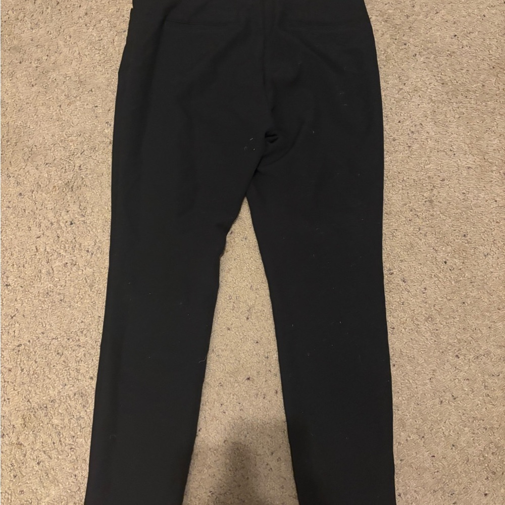 Express Dress Pants
